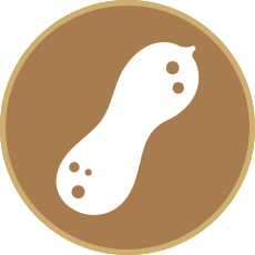 Peanut